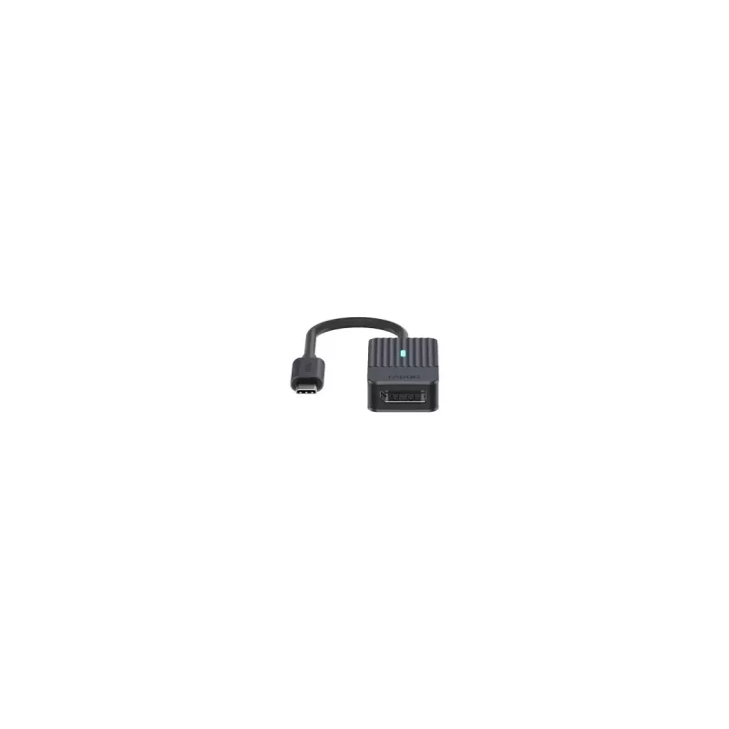 Kabelis USB Type-C į DisplayPort Rapoo UCA-1005 0,15 m juodas