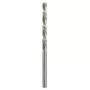 Sraigtinis grąžtas Bosch metalo grąžtas HSS-G DIN 338 4 mm 2 vnt.