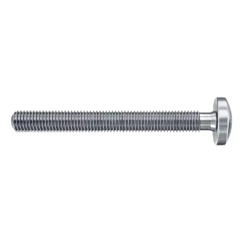 Fischer DuoHM 5 x 55 S PH TX pilkas sieninis kaištis su Torx 5 mm 55 mm