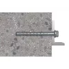 Varžtas Fischer 536856 110 mm 50 vnt.