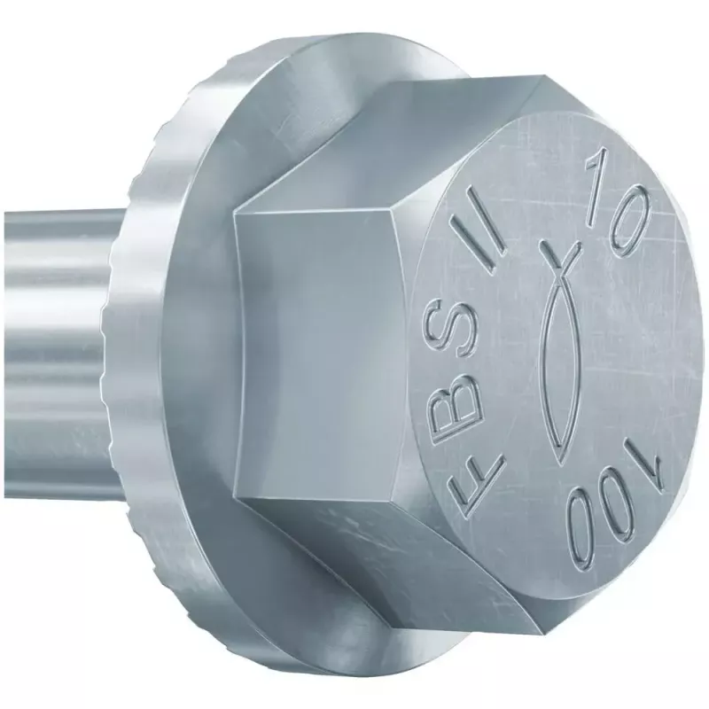 Varžtas Fischer 536869 70 mm