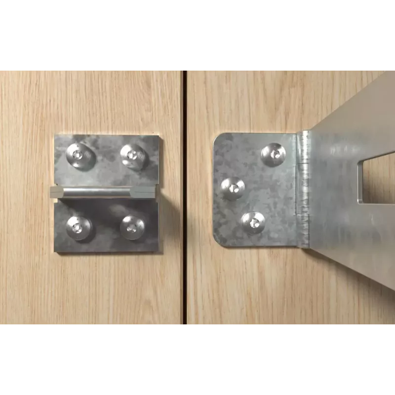 Varžtas Fischer 670239 40 mm 200 vnt.