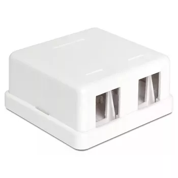 Laido jungtis DeLOCK 86207 2x Keystone balta