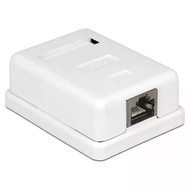 Lizdo lizdas RJ-45 DeLOCK 86169