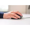 BakkerElkhuizen Oyster Wired pelė, ambidekstrinė, vertikalaus dizaino, lazerinė, USB Type-A, 1200 DPI, juoda, sidabrinė