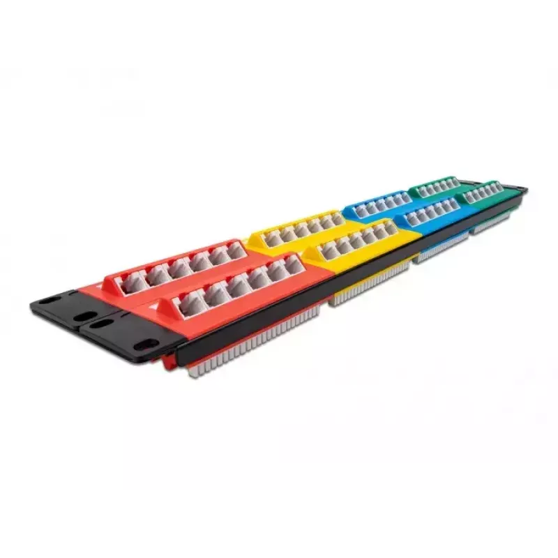 DeLOCK 19 colių pataisymo skydas 48 prievadų Cat.5e 2U spalvotas RJ-45