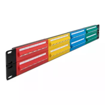 DeLOCK 19 colių pataisymo skydas 48 prievadų Cat.5e 2U spalvotas RJ-45