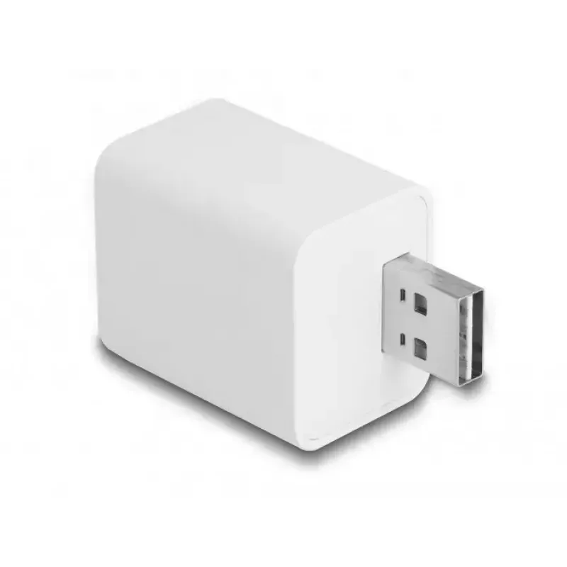 „Smart Plug DeLOCK 11828“ vidaus Wi‑Fi 2A balta
