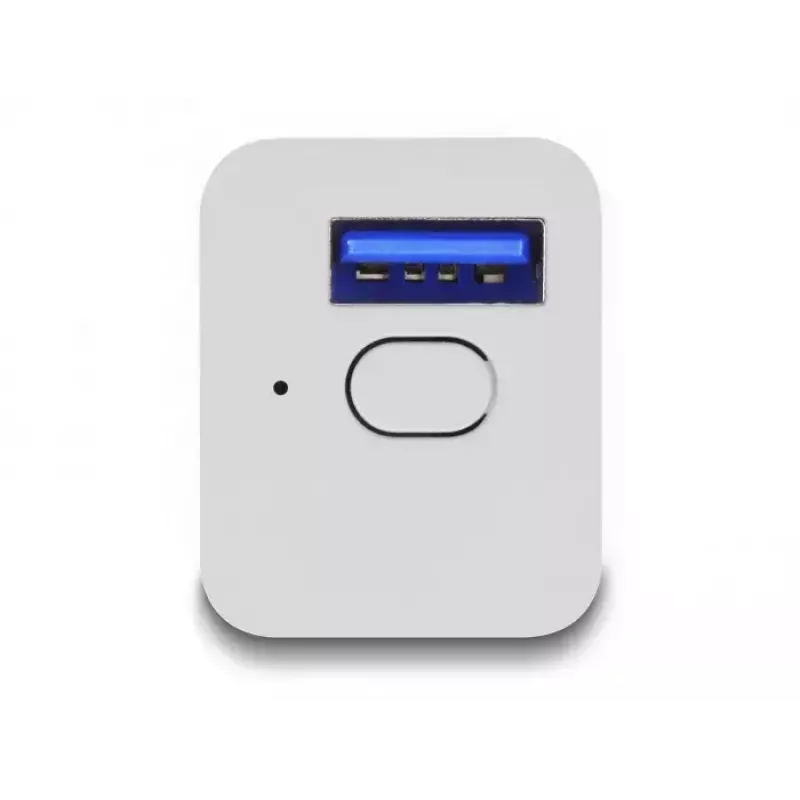 „Smart Plug DeLOCK 11828“ vidaus Wi‑Fi 2A balta