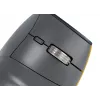 BakkerElkhuizen FastForward pelė, dešinei rankai, vertikalus dizainas, optinė, RF belaidė + Bluetooth + USB Type-C, 500 DPI, pilka