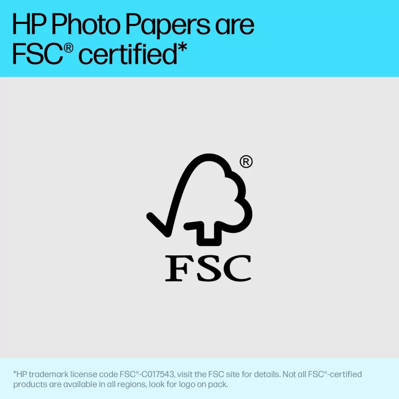 HP Advanced Photo Paper Glossy 65 lb 4 x 12 in. (101 x 305 mm) 10 lapų