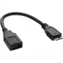 „InLine“ USB 3.0 OTG adapterio laidas, Micro B kištukas į USB Type A patelę, 0,15 m
