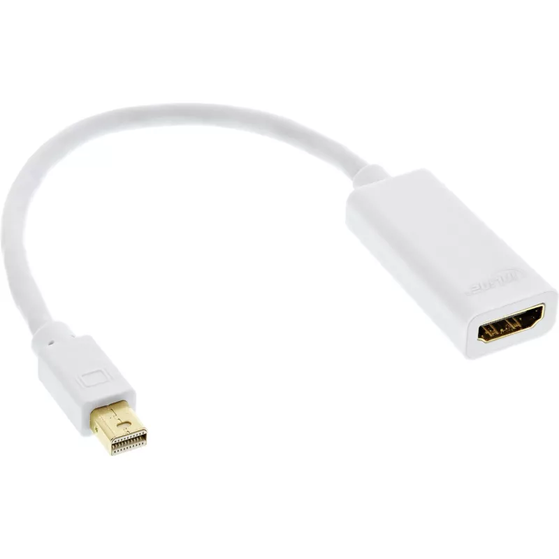 InLine Mini DisplayPort HDMI adapteris su garsu 4K/30Hz 17193E