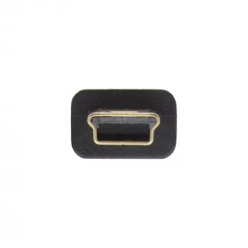 InLine USB 2.0 Plokščias laidas USB A tipo kištukas / Mini-B kištukas 5 kontaktų juodas/auksinis 0,3 m