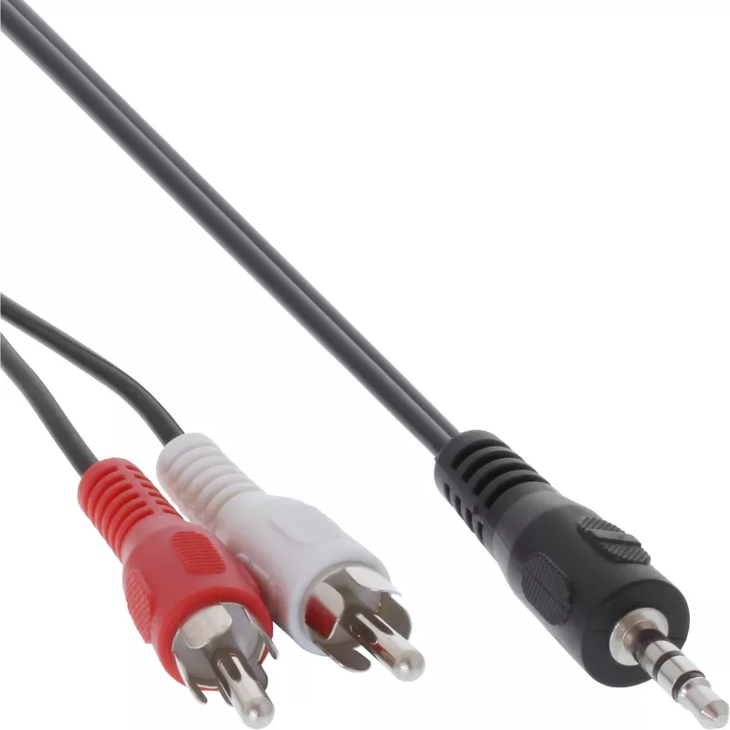Audio laidas 2x RCA kištukas / 3,5 mm stereo kištukas 3 m InLine 89939L