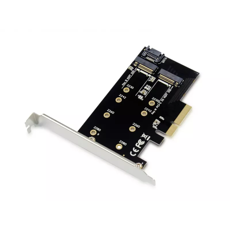 Conceptronic EMRICK 2-in-1 M.2 SSD PCIe adapteris SATA AHCI NVMe