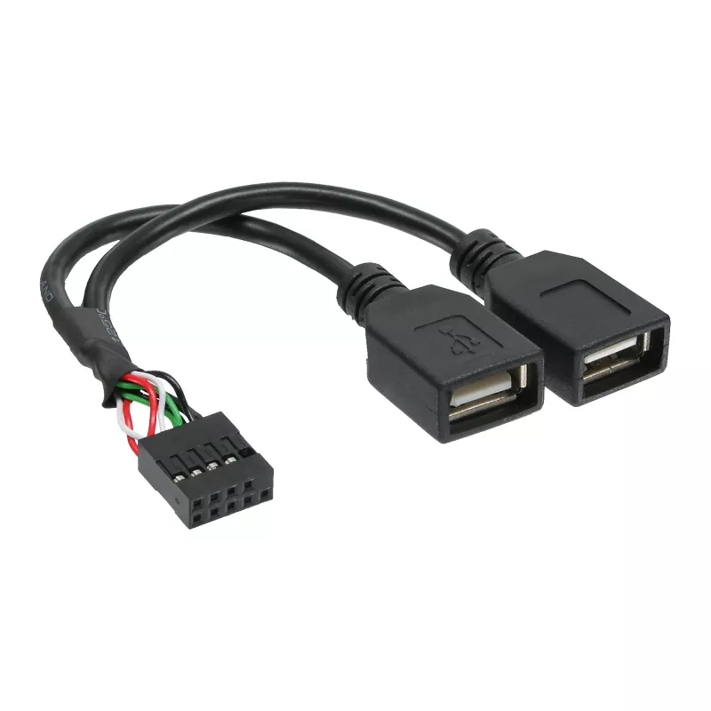 InLine USB 2.0 adapterio kabelis vidinis 2x USB A tipo lizdas / pagrindinės plokštės jungtis