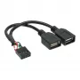 InLine USB 2.0 adapterio kabelis vidinis 2x USB A tipo lizdas / pagrindinės plokštės jungtis