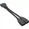InLine USB 3.0 adapterio laidas vidinis 2x USB A tipo moteriška / pagrindinės plokštės antraštė