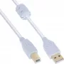 InLine USB 2.0 laidas Type A kištukas / B kištukas, paauksuotas, su feritu, baltas, 1,5 m