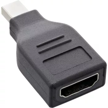 InLine DisplayPort keitiklis, mini DisplayPort kištukas / HDMI lizdas, FullHD/60Hz