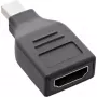 InLine DisplayPort keitiklis, mini DisplayPort kištukas / HDMI lizdas, FullHD/60Hz