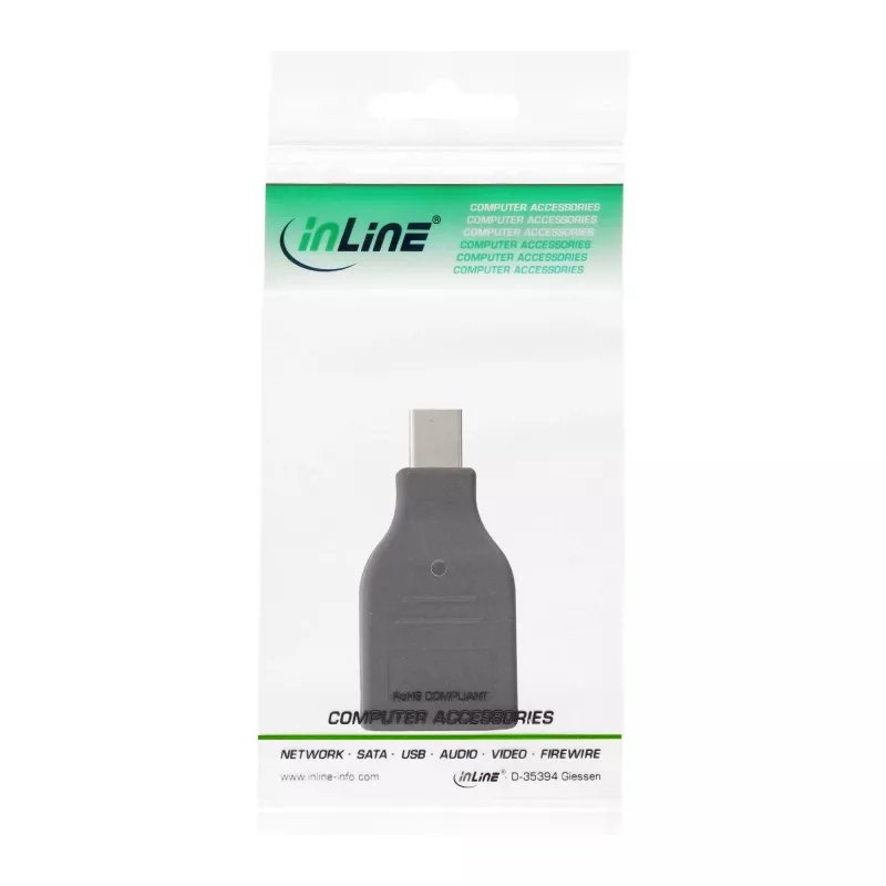 InLine DisplayPort keitiklis, mini DisplayPort kištukas / HDMI lizdas, FullHD/60Hz