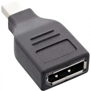InLine DisplayPort adapteris, mini DisplayPort tėvas / DisplayPort motina, 4K/60Hz