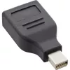 InLine DisplayPort adapteris, mini DisplayPort tėvas / DisplayPort motina, 4K/60Hz