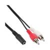 Garso kabelis 2x RCA kištukas / 3,5 mm stere jungtis 3 m InLine 89940D