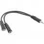 InLine 3,5 mm lizdo Y formos kabelis, 1 x kištukas – 2 x 3,5 mm lizdai, stereofoninis, 1 m