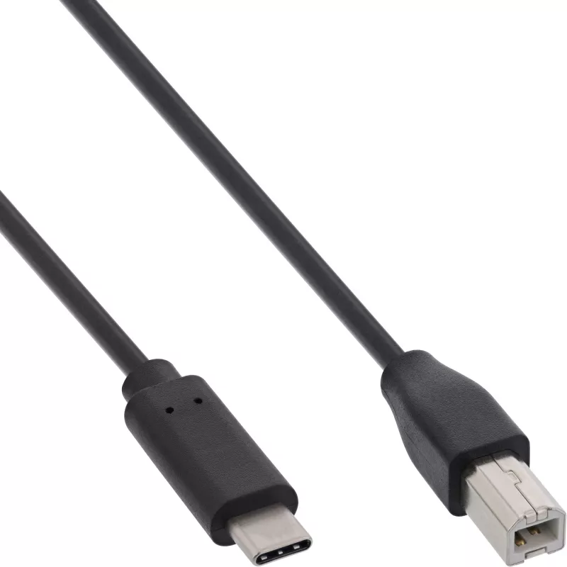 InLine USB 2.0 laidas, USB-C kištukas / USB-B kištukas, juodas, 1 m