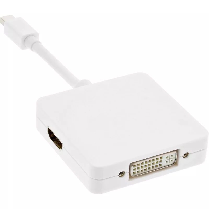 InLine Mini DisplayPort į HDMI DVI DisplayPort adapterio laidas 17195I