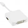 InLine Mini DisplayPort į HDMI DVI DisplayPort adapterio laidas 17195I