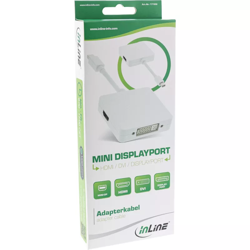 InLine Mini DisplayPort į HDMI DVI DisplayPort adapterio laidas 17195I