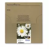 Kasetė Epson T1806 Easy Mail pakuotėje Juoda Geltona Žydra Purpurinė