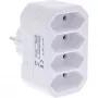 Maitinimo kištuko adapteris Type F Type C InLine 16471E balta