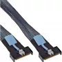InLine 27661B Serial Attached SCSI (SAS) kabelis 0,75 m 24 Gbit/s Juoda, Mėlyna, Pilka