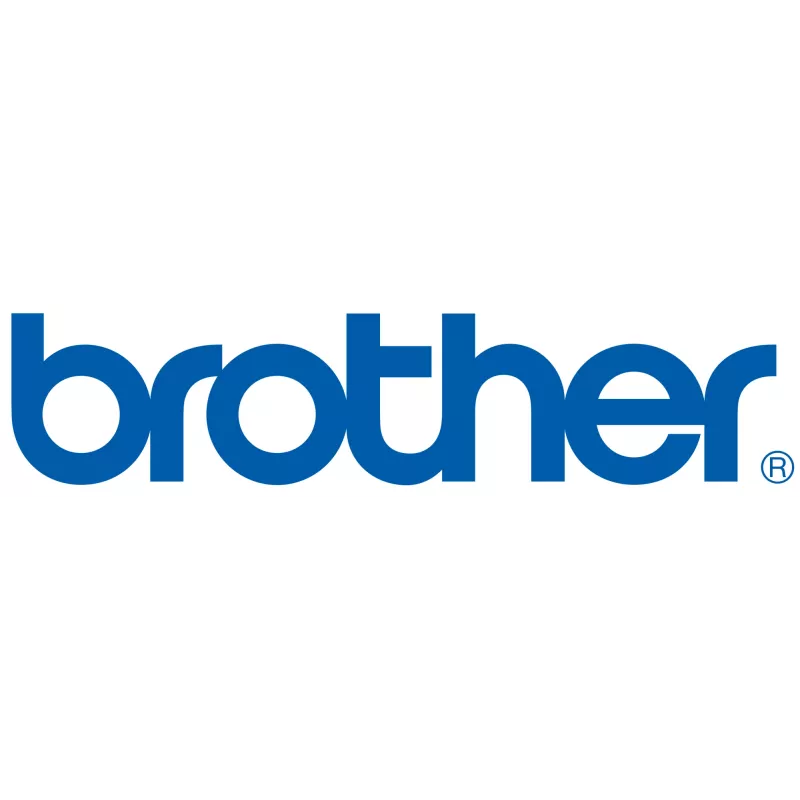 Brother ZBR8LSBPP004 programinės įrangos licencija / atnaujinimas 1 licencija (-os)