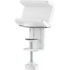 Maitinimo ilgintuvo laikiklis InLine 23191W baltas ABS plienas 100 mm plotis