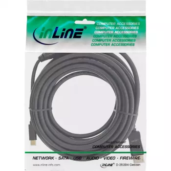 USB Display kabelis InLine 64121 USB-C kištukas į DisplayPort kištuką 1m