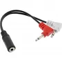 InLine Audio Plane ausinių adapterio laidas, 2x 3,5 mm kištukai į 3,5 mm lizdą 3 kontaktų, 0,15 m