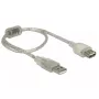 USB laidas DeLOCK 82244 USB 2.0 0,3 m permatomas