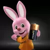 Duracell Plus vienkartinė baterija C Šarminė
