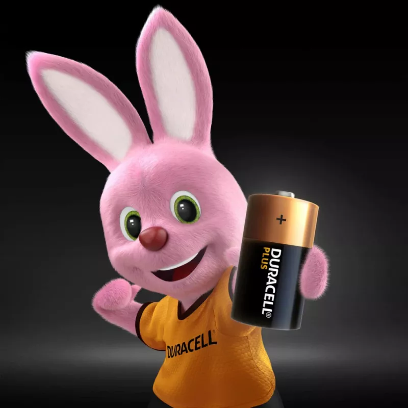 Duracell Plus vienkartinė baterija C Šarminė