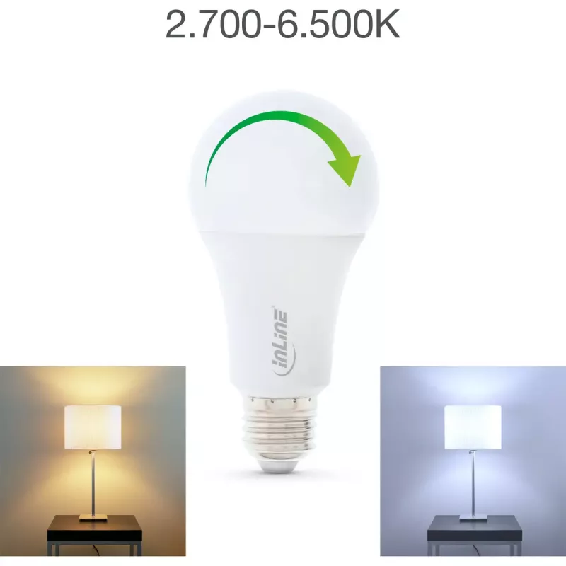 InLine SmartHome LED lemputė RGB E27, 900 lm