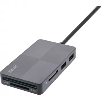 InLine 66772F kortelių skaitytuvas USB pilkas