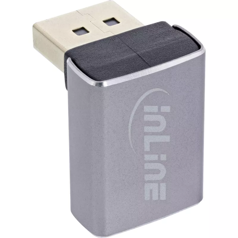 InLine 17291G laido jungties adapteris DisplayPort pilka, juoda