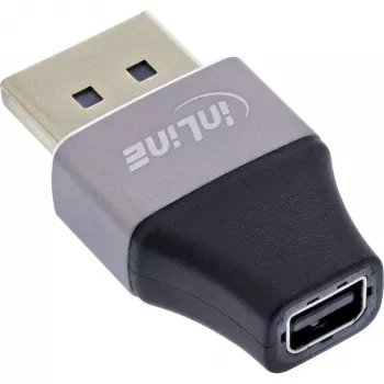 InLine 17291B kabelio jungties adapteris DisplayPort Mini DisplayPort Juoda, Pilka