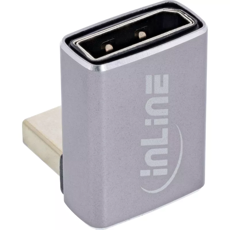 InLine 17291F kabelio lyties keitiklis DisplayPort Mini DisplayPort Pilka Juoda